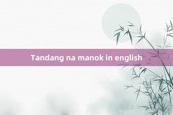 Tandang na manok in english