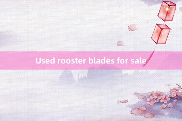 Used rooster blades for sale