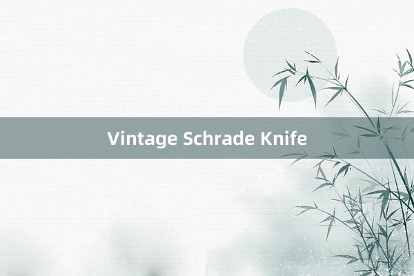 Vintage Schrade Knife