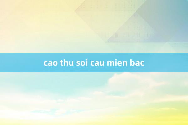 cao thu soi cau mien bac