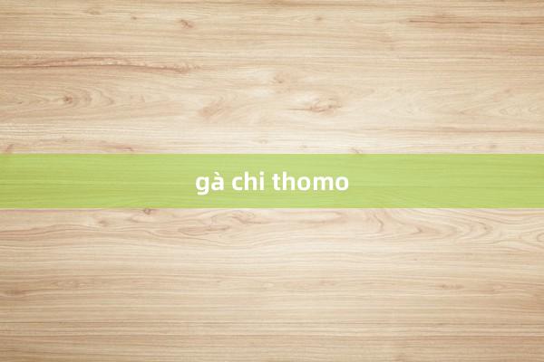 gà chi thomo