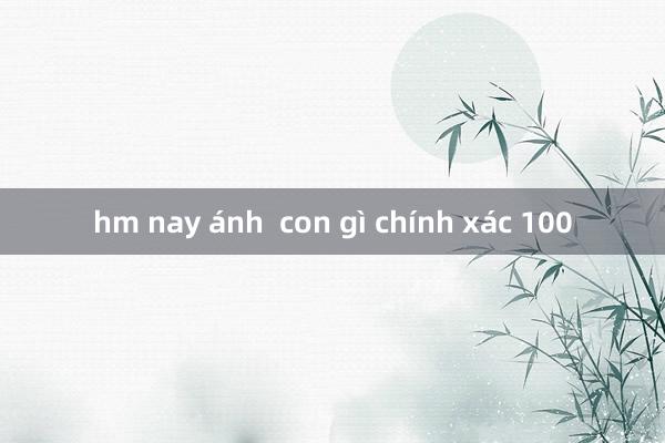 hm nay ánh  con gì chính xác 100