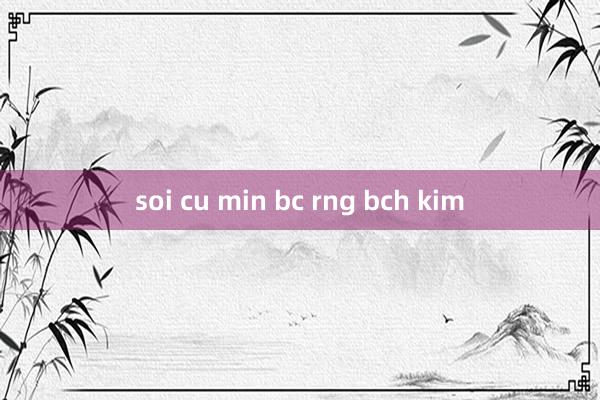 soi cu min bc rng bch kim