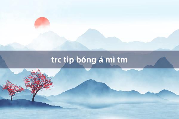 trc tip bóng á mì tm