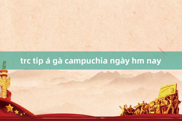 trc tip á gà campuchia ngày hm nay