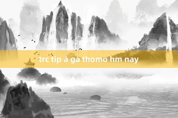 trc tip á gà thomo hm nay