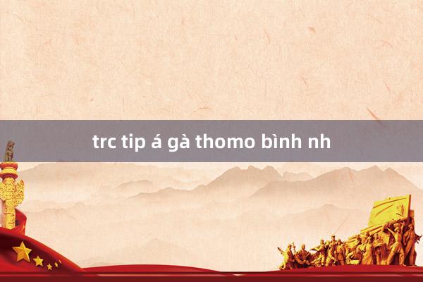 trc tip á gà thomo bình nh