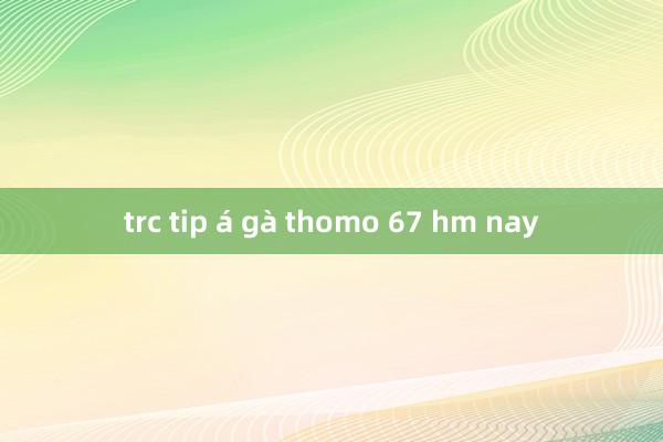 trc tip á gà thomo 67 hm nay