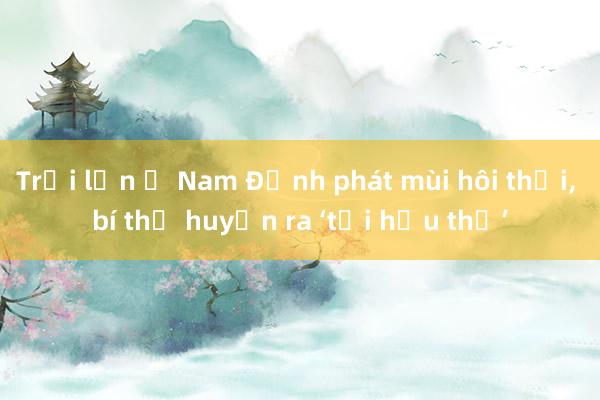 Trại lợn ở Nam Định phát mùi hôi thối， bí thư huyện ra ‘tối hậu thư’