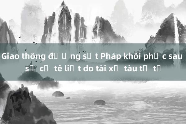 Giao thông đường sắt Pháp khôi phục sau sự cố tê liệt do tài xế tàu tự tử