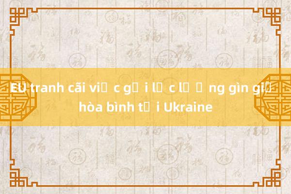 EU tranh cãi việc gửi lực lượng gìn giữ hòa bình tới Ukraine