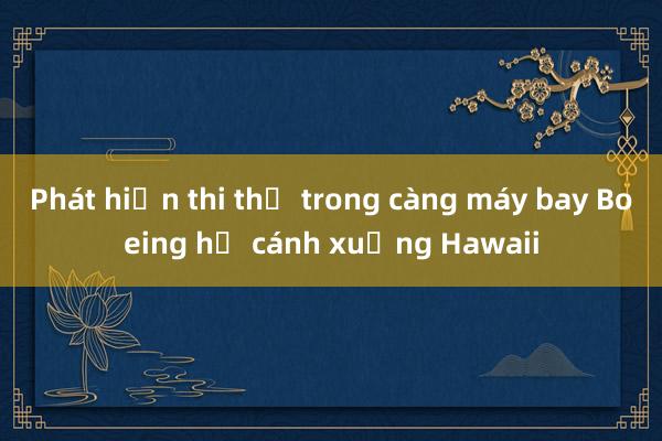 Phát hiện thi thể trong càng máy bay Boeing hạ cánh xuống Hawaii