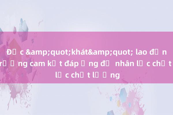 Đức &quot;khát&quot; lao động， Bộ trưởng cam kết đáp ứng đủ nhân lực chất lượng