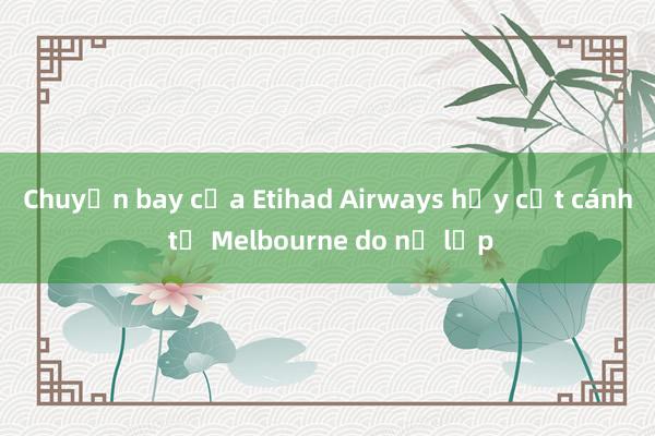 Chuyến bay của Etihad Airways hủy cất cánh từ Melbourne do nổ lốp